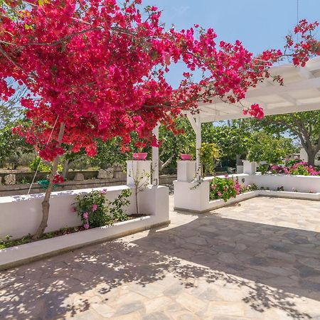 Lina And Babis' Home Adamantas  Dış mekan fotoğraf